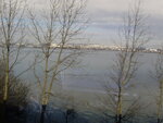 pic_20556.jpg