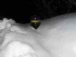 pic_20571.jpg