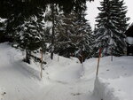 pic_20581.jpg