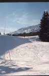 pic_20681.jpg