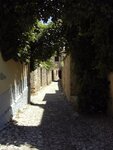 pic_00260.jpg