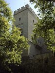 pic_00297.jpg