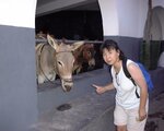 pic_00310.jpg