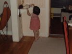 pic_00323.jpg