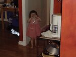 pic_00344.jpg