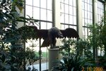 pic_00386.jpg