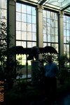 pic_00397.jpg