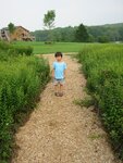 pic_20717.jpg