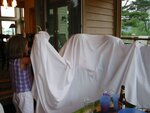pic_20721.jpg