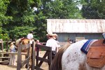 pic_20815.jpg