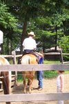pic_20816.jpg
