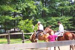 pic_20817.jpg