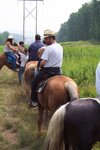 pic_20818.jpg