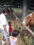 pic_20873.jpg