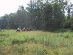 pic_20934.jpg