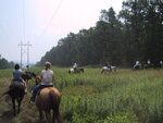 pic_20935.jpg