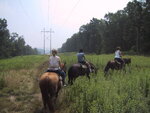 pic_20936.jpg