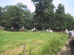 pic_20941.jpg