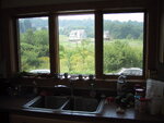 pic_20966.jpg