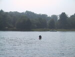pic_20978.jpg