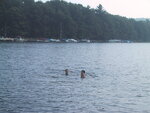 pic_21038.jpg