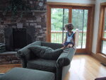 pic_21263.jpg