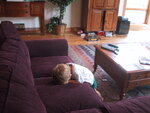 pic_21324.jpg