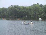 pic_21359.jpg