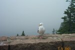 pic_06059.jpg