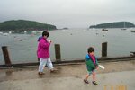 pic_06090.jpg