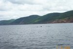 pic_06207.jpg