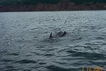 pic_06209.jpg