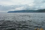 pic_06212.jpg