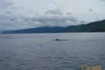 pic_06214.jpg