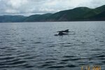 pic_06216.jpg