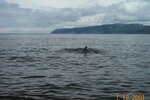 pic_06217.jpg