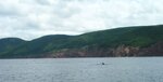 pic_06219.jpg