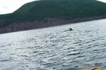 pic_06220.jpg