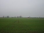 pic_06229.jpg