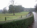 pic_06235.jpg