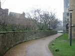 pic_06236.jpg