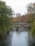 pic_06278.jpg