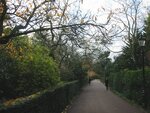 pic_06279.jpg