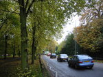 pic_06295.jpg