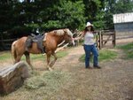 pic_06332.jpg