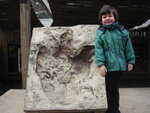 Another Trip To The Zoo To See The Baby Tiger And Elephant