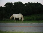 pic_00510.jpg