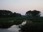 pic_00515.jpg