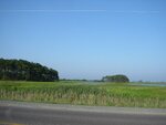 pic_00519.jpg