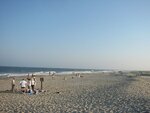 pic_00521.jpg